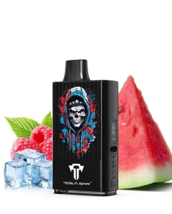 Teslacigs Tesla Bar MT-10K 20mg 10ml 10000 puffs Raspberry Watermelon Ice