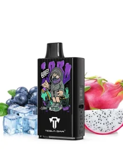 Teslacigs Tesla Bar MT-10K 20mg 10ml 10000 puffs Dragon Fruit Blueberry Ice