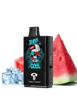 Teslacigs Tesla Bar MT-10K 20mg 10ml 10000 puffs Watermelon Ice