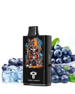 Teslacigs Tesla Bar MT-10K 20mg 10ml 10000 puffs Blueberry Ice
